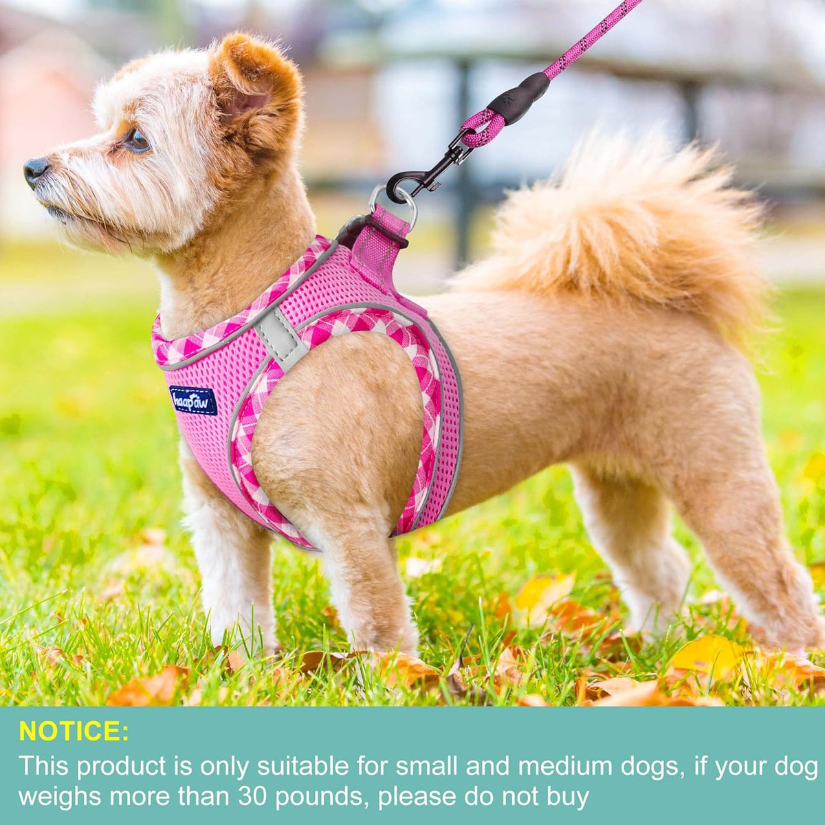 haapaw Dog Harness with Leash Set, No Pull Adjustable Reflective Step-in Puppy Harness with
