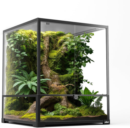 Oiibo 18" x 18" x 24" Glass Reptile Terrarium, Knock-Down Rainforest Reptile Habitat Tank with