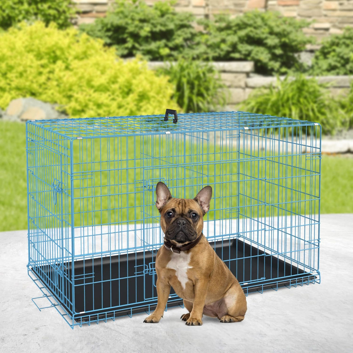 BestPet | Dog Crate | 30" | Blue | Foldable Metal Kennel with Double Doors, Secure Slide-Bolt