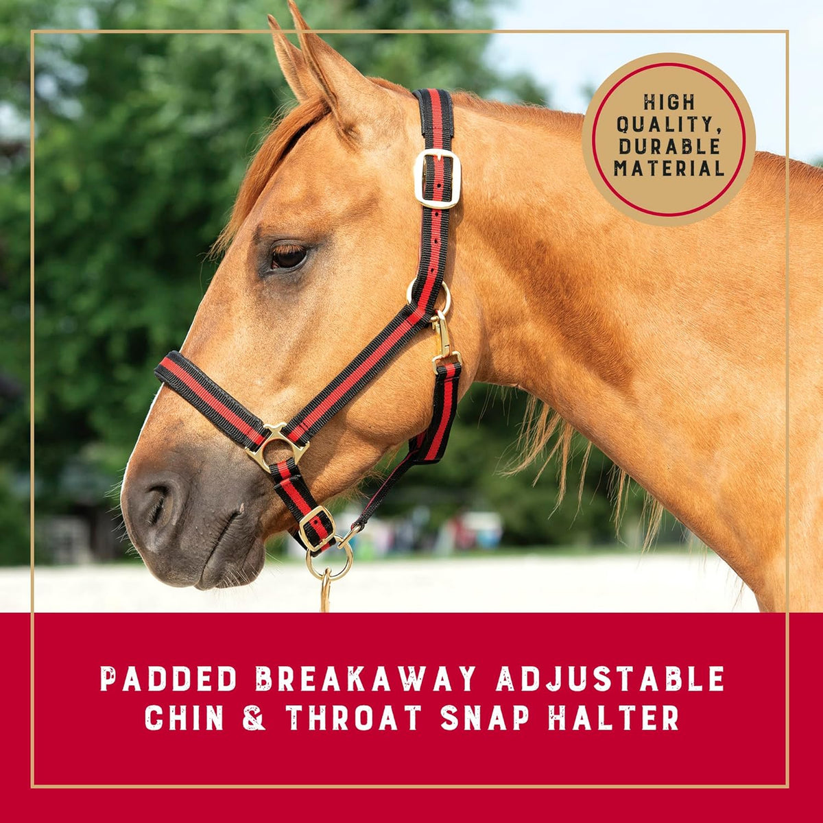 Weaver Equine Breakaway Horse Halter, Comfort Foam Padding, Adjustable Chin & Throat Snap Halters