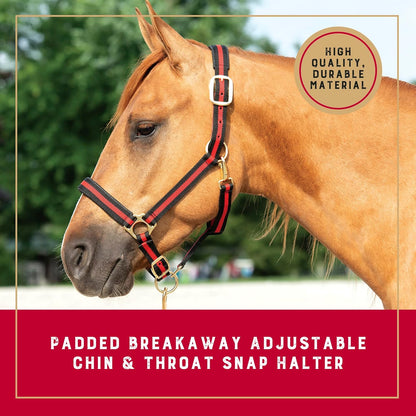 Weaver Equine Breakaway Horse Halter, Comfort Foam Padding, Adjustable Chin & Throat Snap Halters