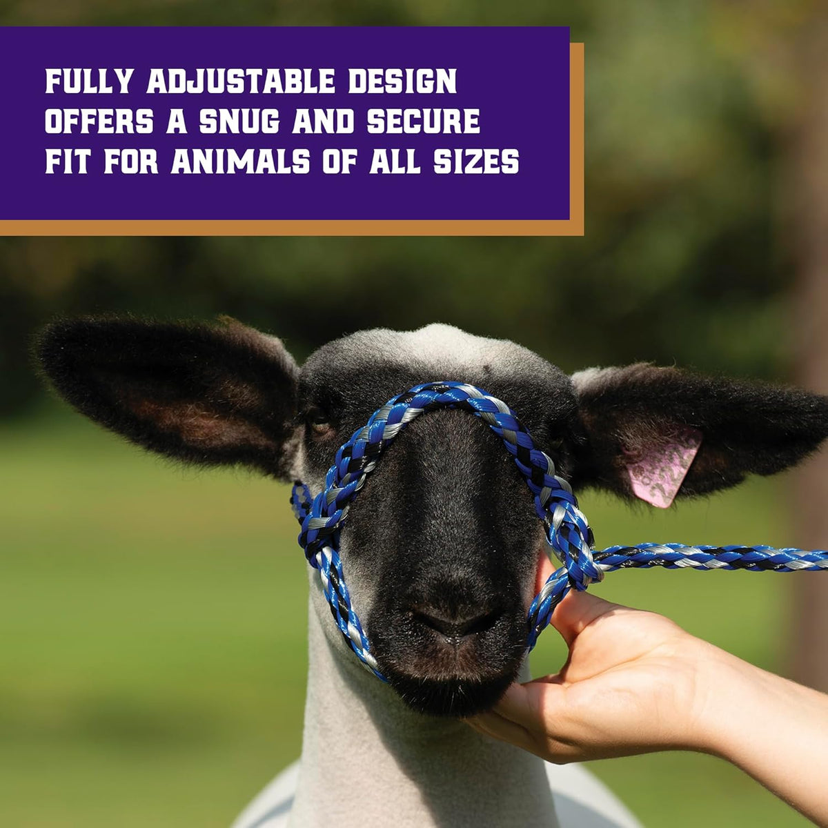 Weaver Livestock Poly Rope Sheep Halter, Modern Style Braid Sheep and Goat Rope Halter, Adjustable