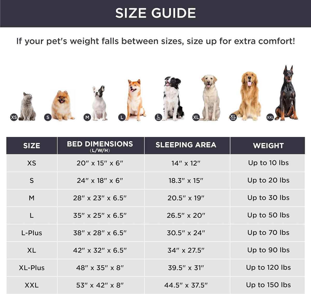 Bedsure Orthopedic Dog Beds for Small Dogs - Washable Small Dog Cat Bed Waterproof, Comfort Pet