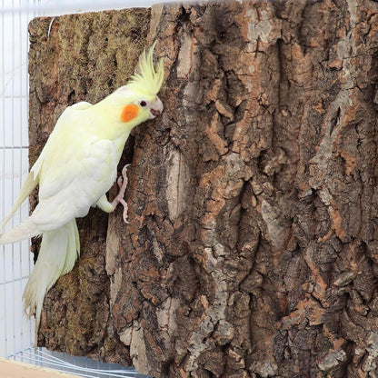 4 Pack Natural Cork Bark Bird Perch Stand, 15.7 × 11.8 inch Parrot Chewing Toys, Birdcage