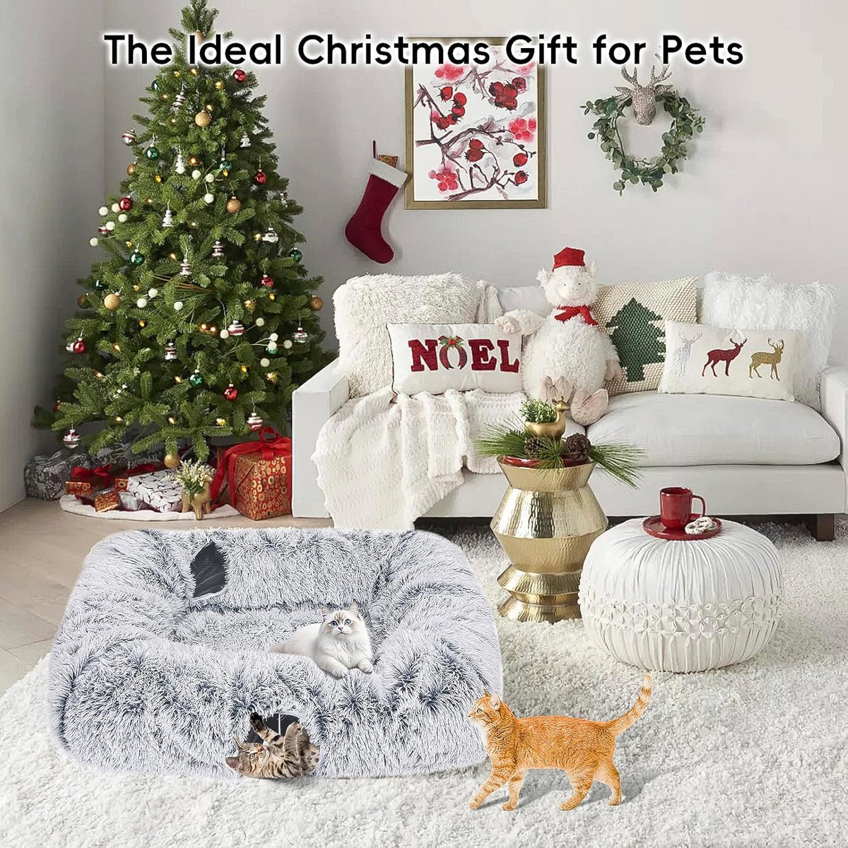Extra Large Cat Tunnel Bed, 4 Ways Tunnels for Indoor Cats, Multi-cat Family Peekaboo Cave & Cat