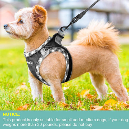 haapaw Dog Harness with Leash Set, No Pull Adjustable Reflective Step-in Puppy Harness with