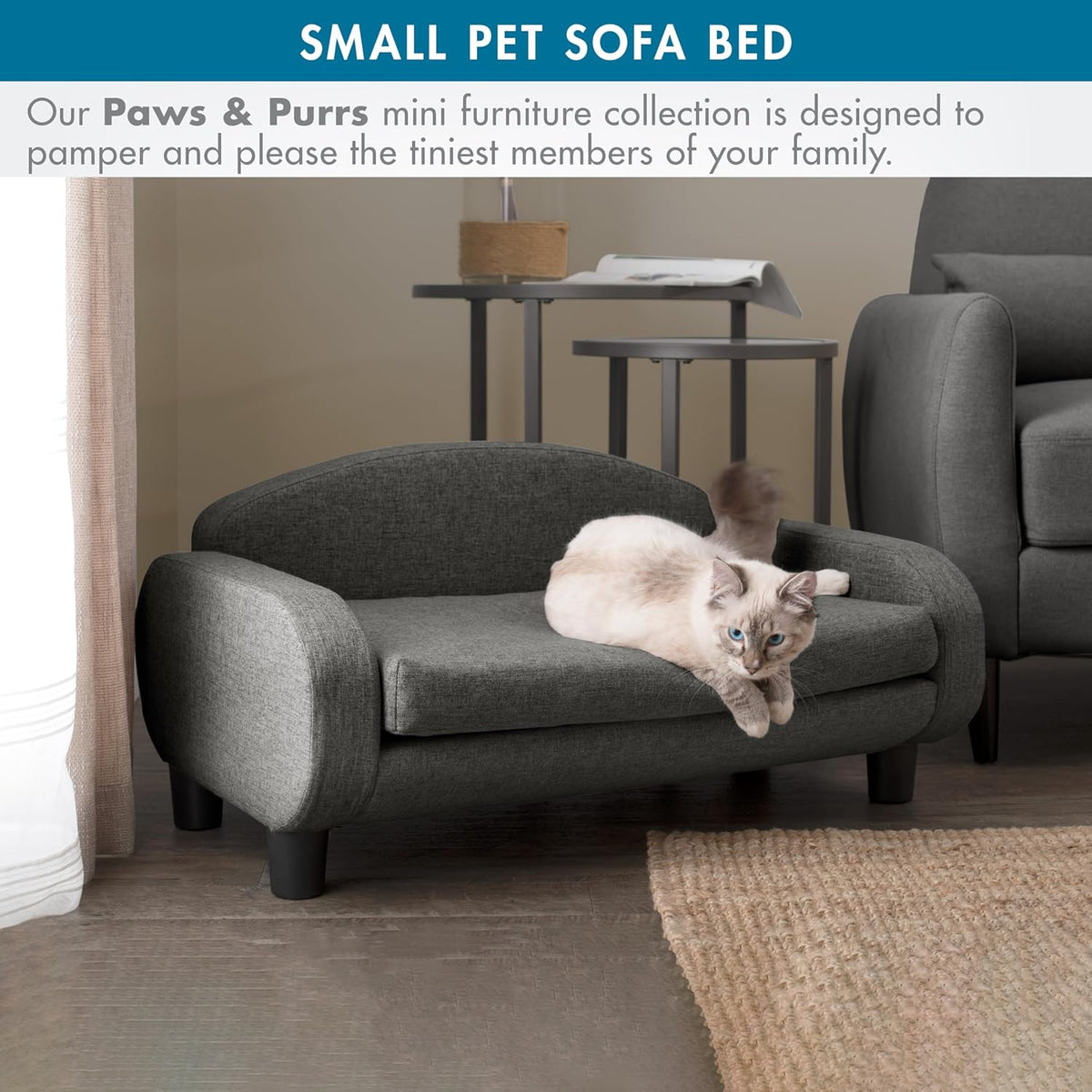 Paws & Purrs Cat Sofa Bed, Pet Couch for Indoor Cats Elevated Cat Beds with Removable Washable