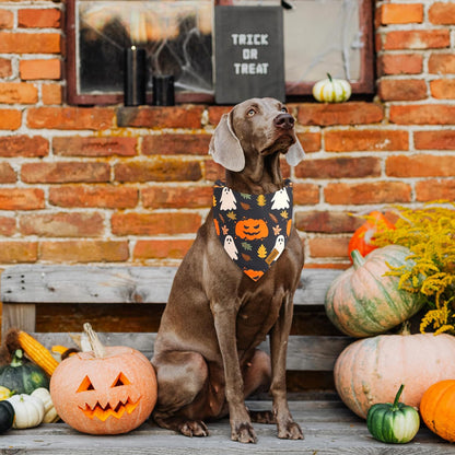 Halloween Dog Bandanas - 2 Pack Fall Dog Bibs | Reversible Pumpkin and Ghost Pet Scarf for Boys and
