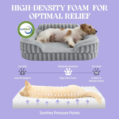 LE SURE Cute Dog Bed Medium Size Dog, Orthopedic Waterproof Medium Pet Beds with Sides, Non-Slip