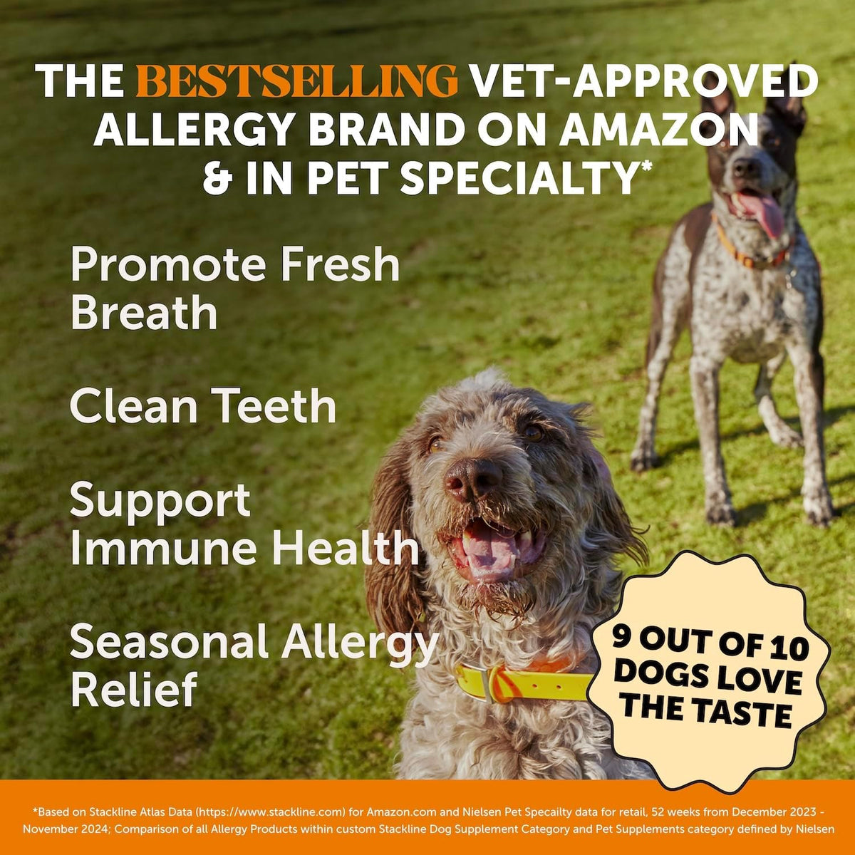 Pet Honesty Allergy Support Fresh Dental Sticks - Dental Treats for Dogs - Dental Dog Chews