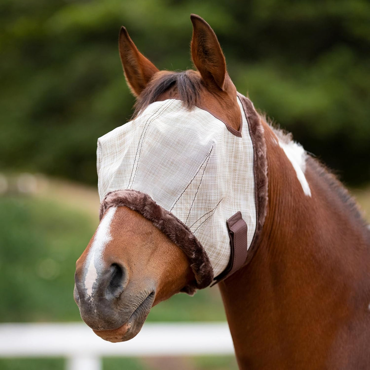 Kensington Fly Mask with Fleece Trim for Horses — Protects Face and Eyes Helps Block Sun Rays While