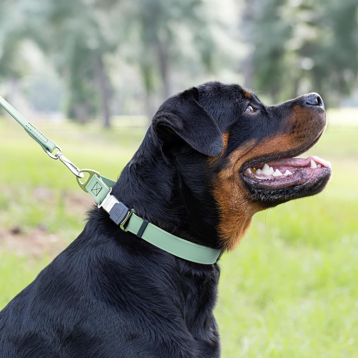 Dogline Biothane Waterproof Dog Collar with Herm Sprenger Stainless Steel Quick Release Buckle