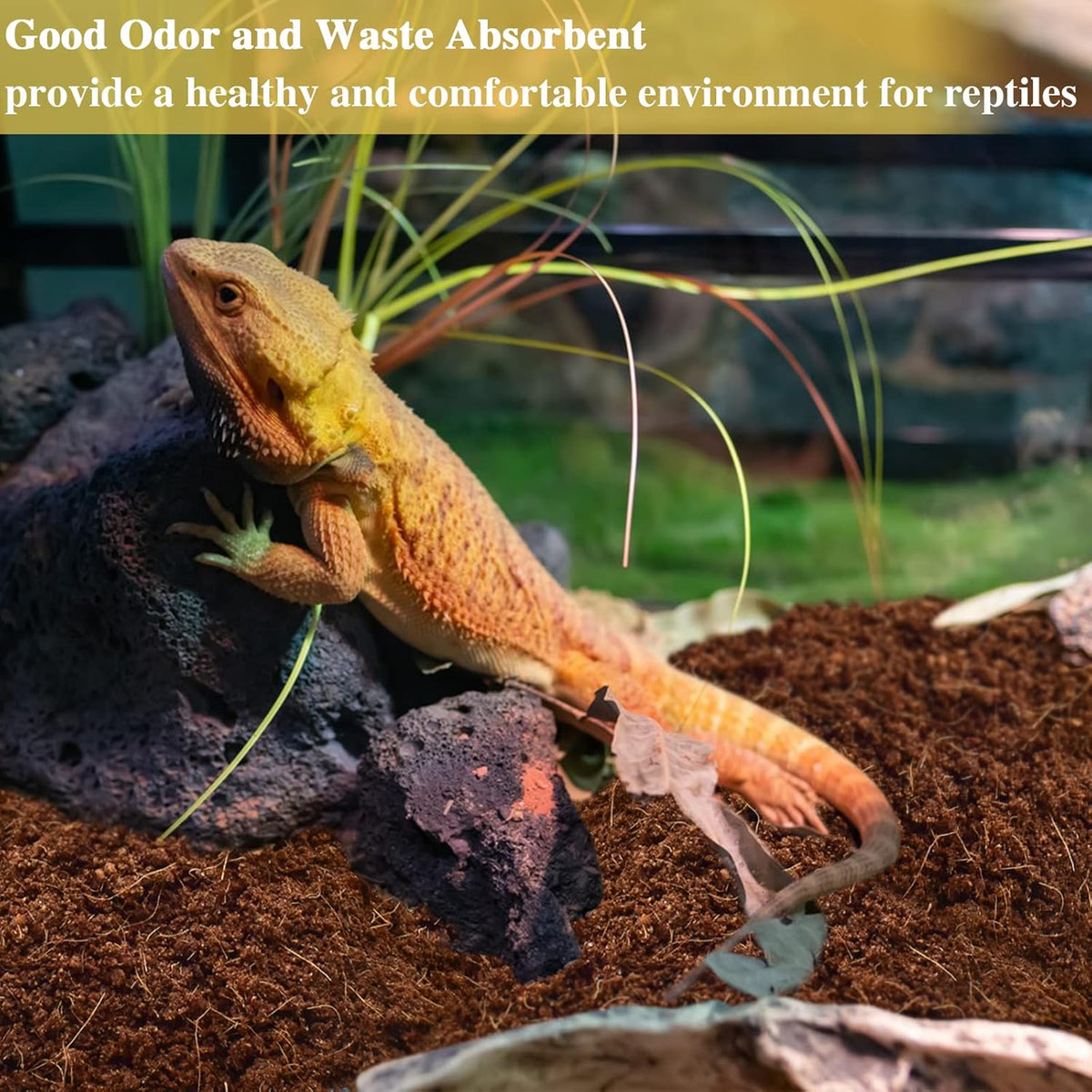 ZeeDix 2Pcs Compressed Coconut Fiber Substrate, 100% Organic Coco Coir Fiber Brick Substrate Fluffy