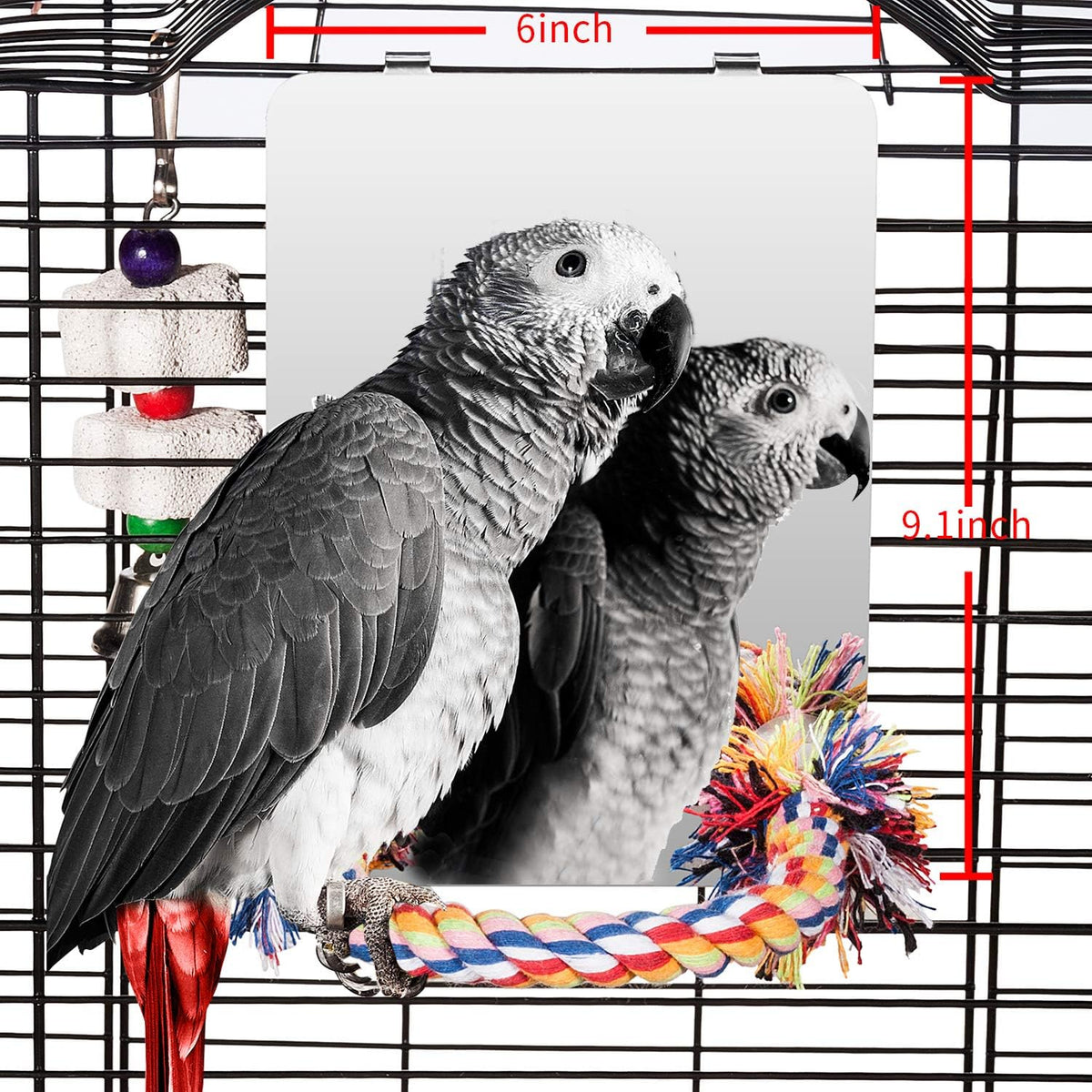 Colorday 9" Bird Mirror with Rope Perch, Bird Swing, Parrot Cage Toys for Parakeet African Grey