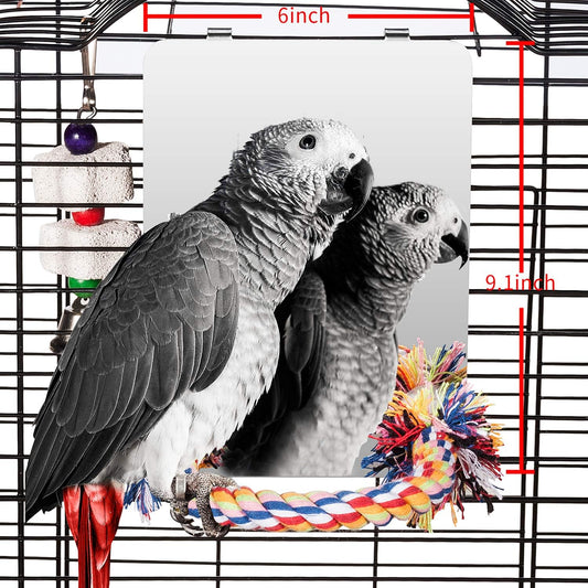 Colorday 9" Bird Mirror with Rope Perch, Bird Swing, Parrot Cage Toys for Parakeet African Grey