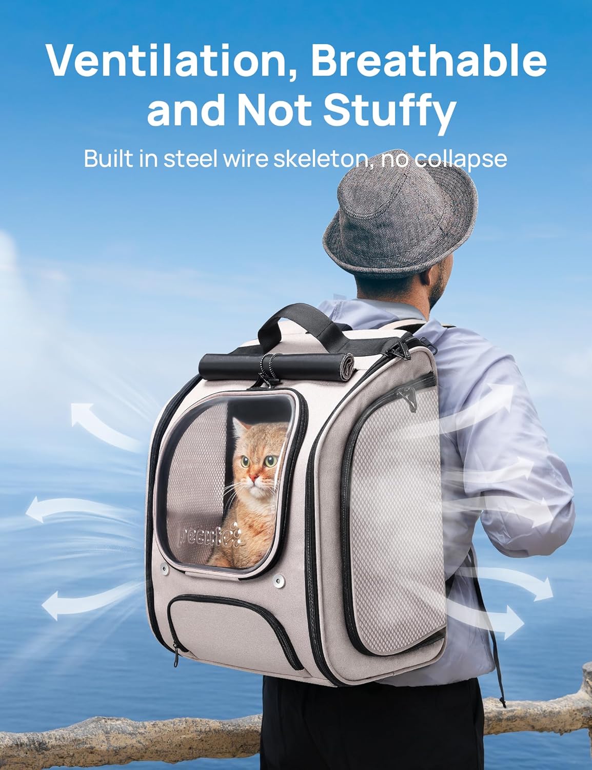Pecute Cat Backpack Carrier, Large Space Cat Bubble Backpack, Breathable Cat Carrier, Shaded Dog