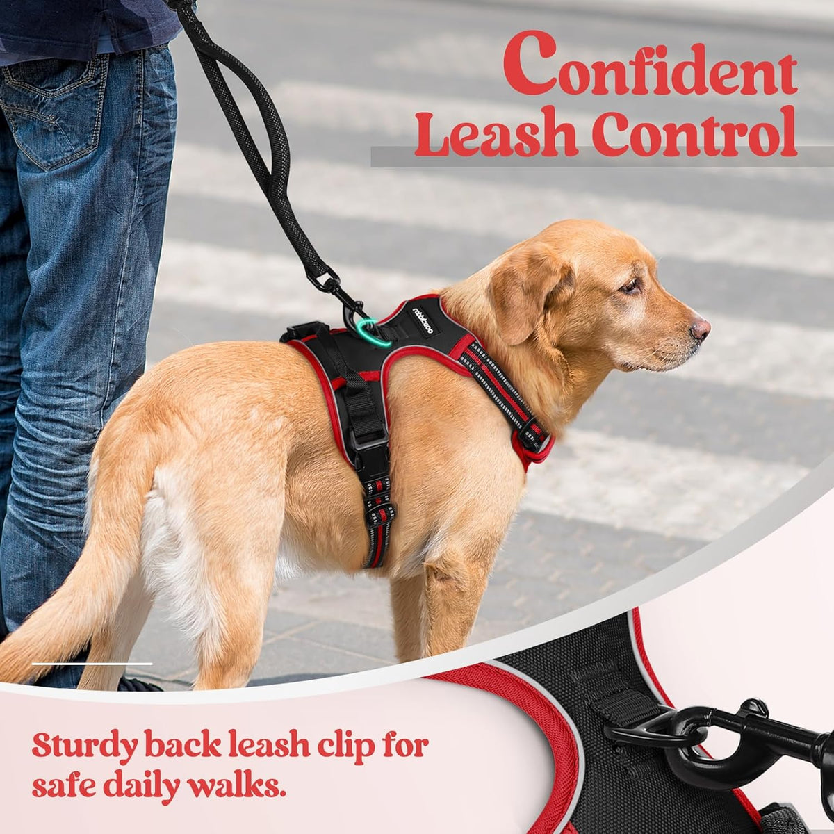 rabbitgoo Dog Harness No Pull with 2 Leash Clips, Adjustable Soft Padded, Reflective Oxford No