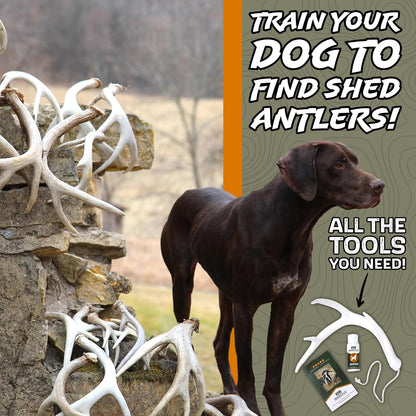 DogBone Shed Hunting Dog Training Kit – Train Your Puppy to Find Deer Antlers - Includes 2 oz Scent