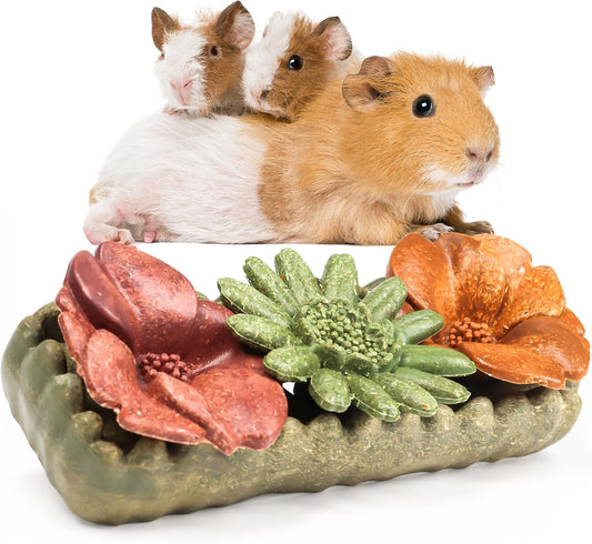 TEEWY 4PCS Guinea Pig Chew Toys, Prevent Teeth Overgrowth, Natural Vegetables and Timothy Grass