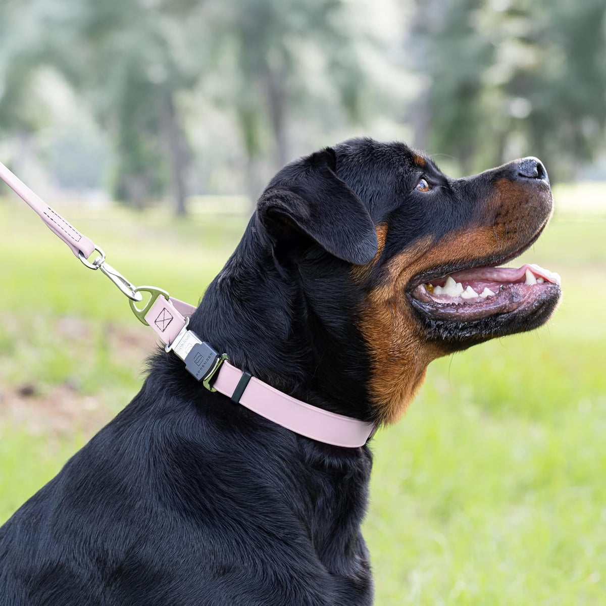 Dogline Biothane Waterproof Dog Collar with Herm Sprenger Stainless Steel Quick Release Buckle