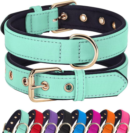 Didog Soft Padded Dog Collars for Medium Dogs, Lightweight and Breathable Dog Collar with Metal