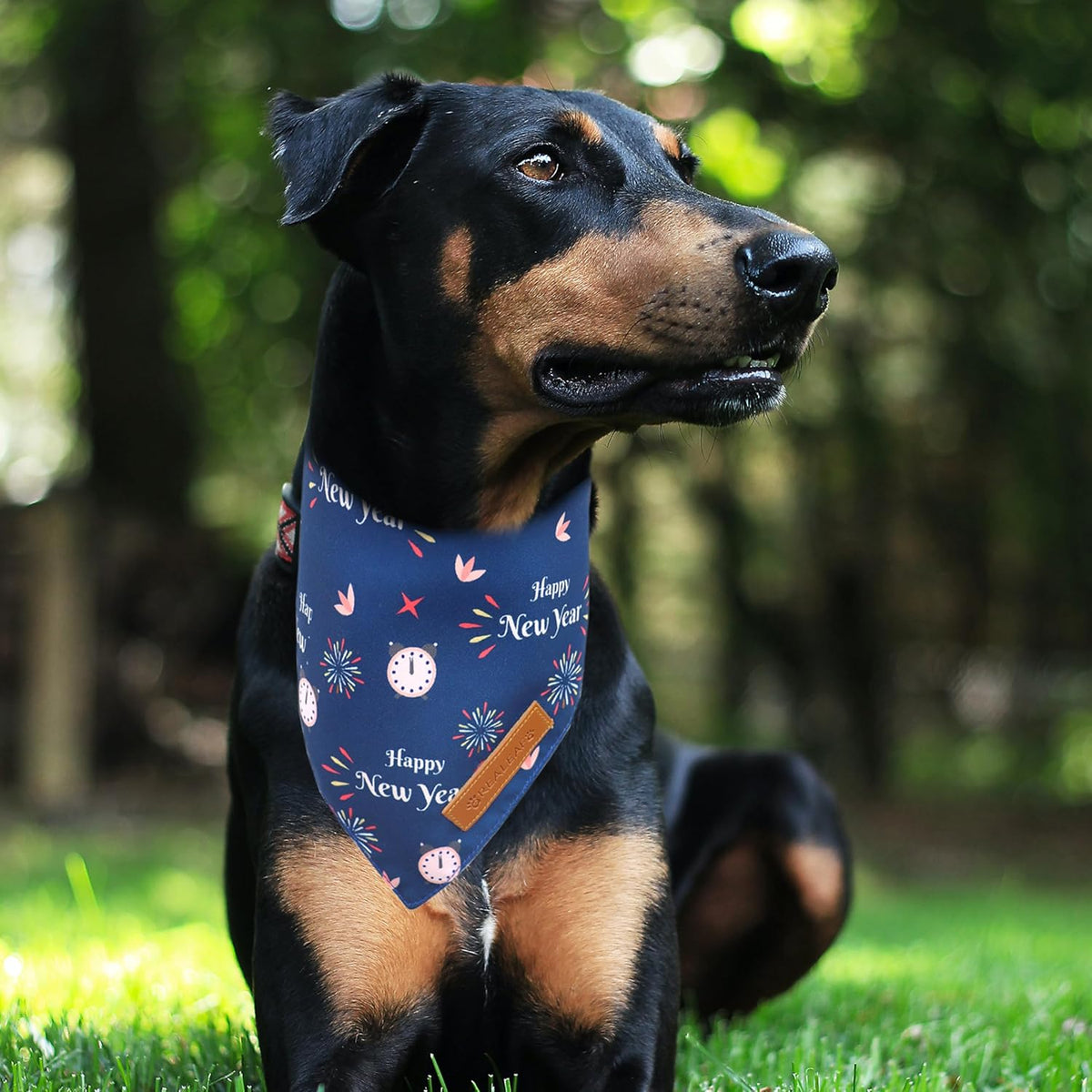 Realeaf Happy New Year Dog Bandanas 2 Pack, Reversible Holiday Pet Scarf for Boy and Girl, Premium