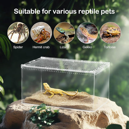 Reptile PC Terrarium,Spider Tank Starter Kit,Leopard Gecko Container,Tarantula Cage,Hermit Crab