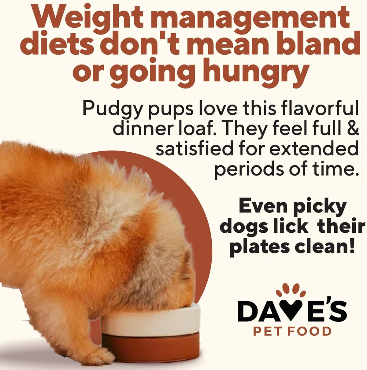Dave's Pet Food Weight Management Dog Food (Turkey & Vegetables), Made in USA, Weight Loss, Soft
