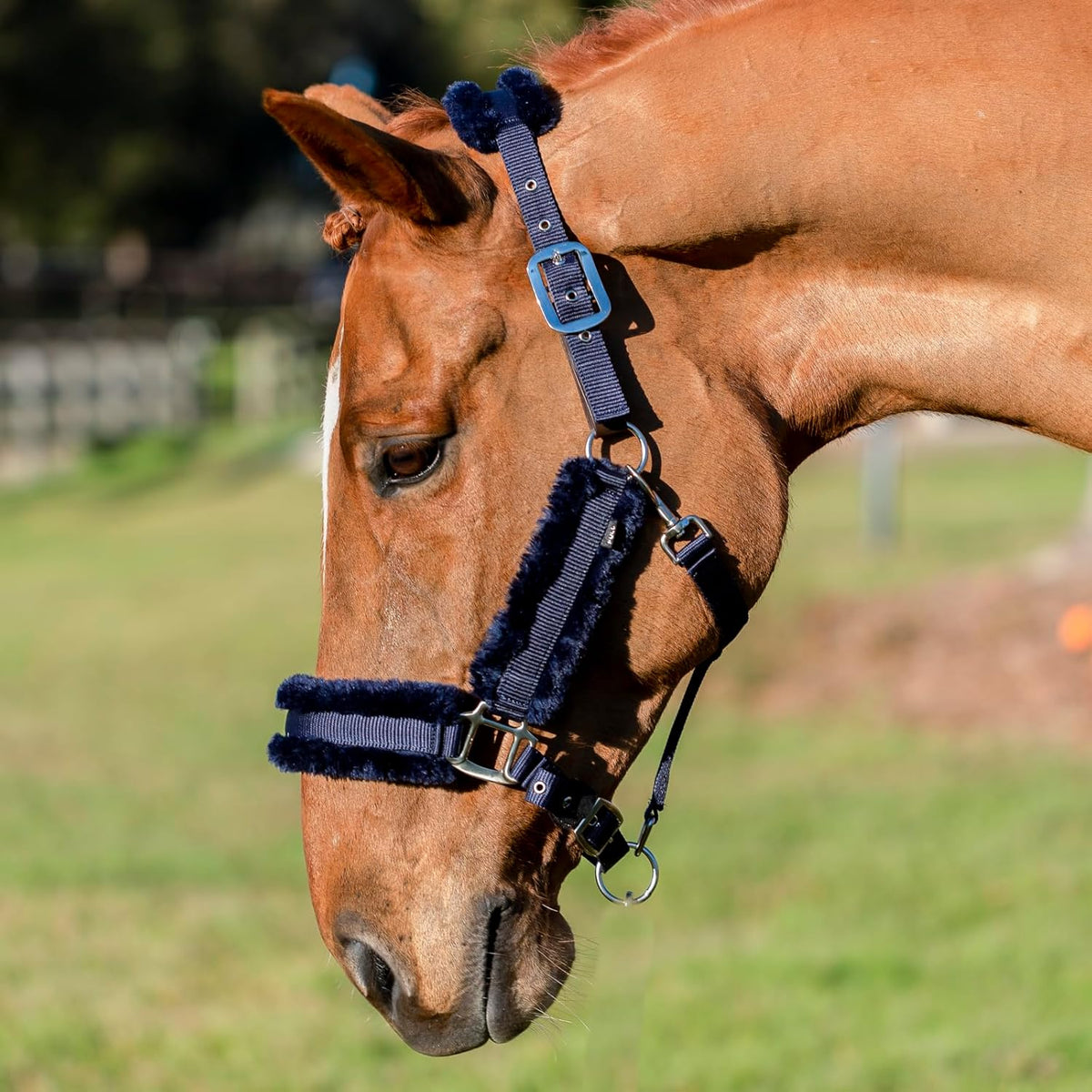 Equinavia Valkyrie Soft Ultra Fleece Padded Adjustable Breakaway Horse Halter - Navy/Navy