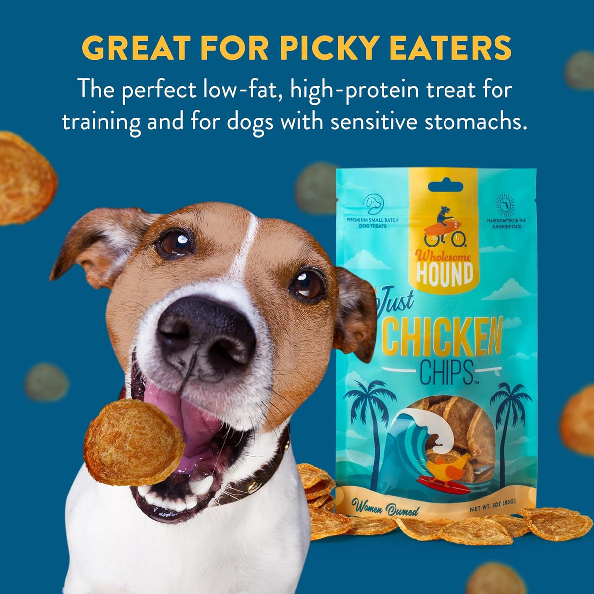 Chicken Chips – Single Ingredient Dog Treats, All Natural & Healthy Training Snacks for Small