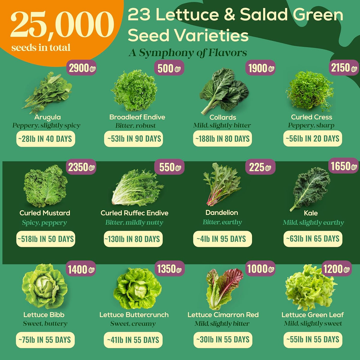 23 Lettuce & Salad Greens Seeds Variety Pack - 25,000+ Non-GMO Heirloom Greens Seeds for Planting