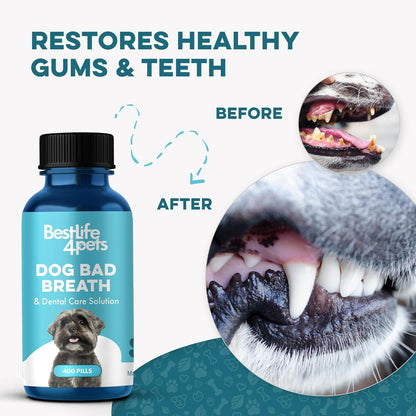 Dog Bad Breath Treatment & Dog Dental Care Solution, Natural Supplement for Canine Oral Health