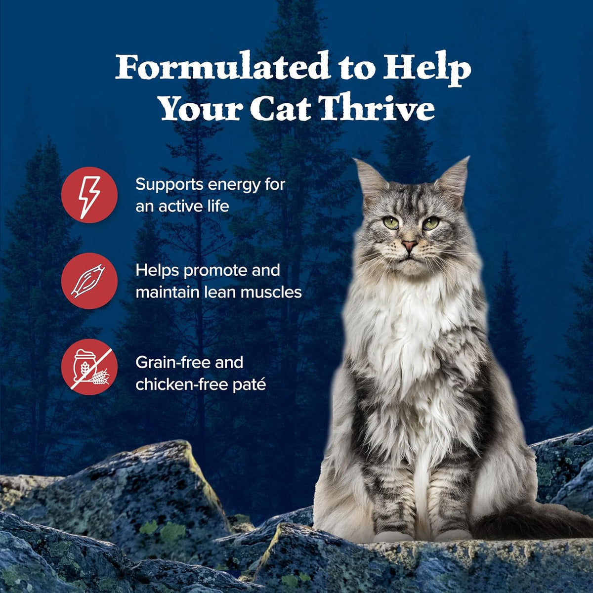 Blue Buffalo Wilderness Rocky Mountain Recipe Flaked Wet Cat Food, Chicken-Free & Grain-Free