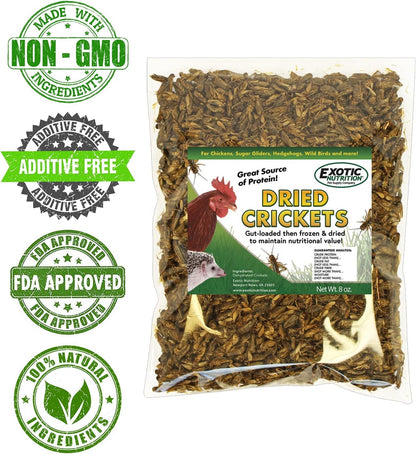 1/2 Pound Dried Crickets - High Protein Insect Treat - Chickens, Wild Birds, Hedgehogs, Bluebirds