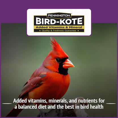 Pennington Pride Songbird Nut & Fruit Blend, Wild Bird Seed for Outside Feeders, Advanced Nutrition
