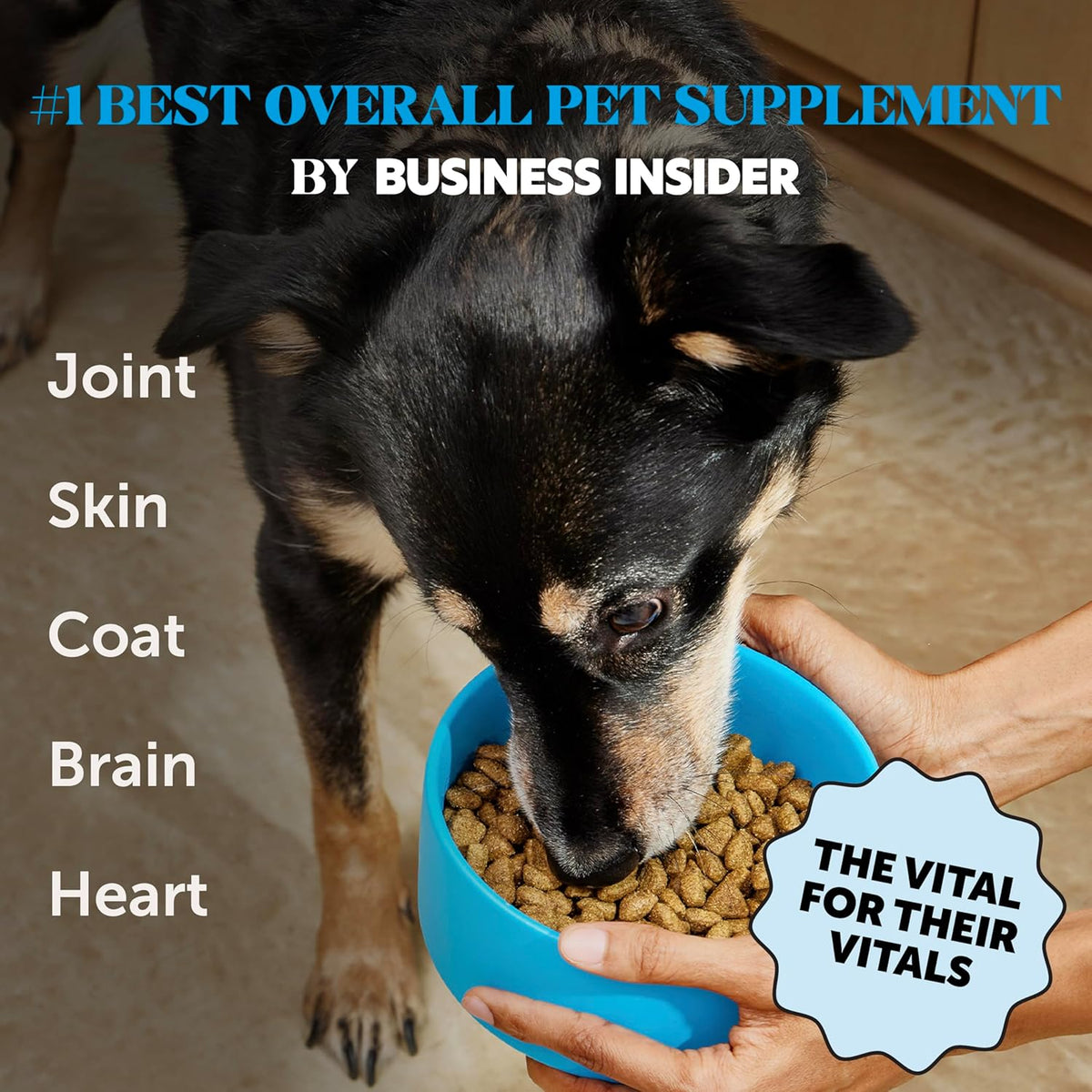Omega 3 Fish Oil Supplement for Dogs & Cats (32oz), Wild Caught Omega 3 Fish Oil for Skin and Coat