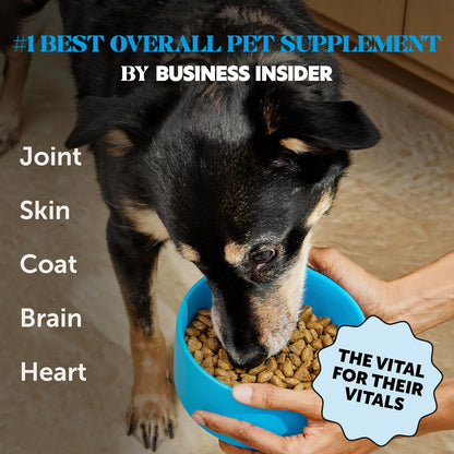 Omega 3 Fish Oil Supplement for Dogs & Cats (32oz), Wild Caught Omega 3 Fish Oil for Skin and Coat