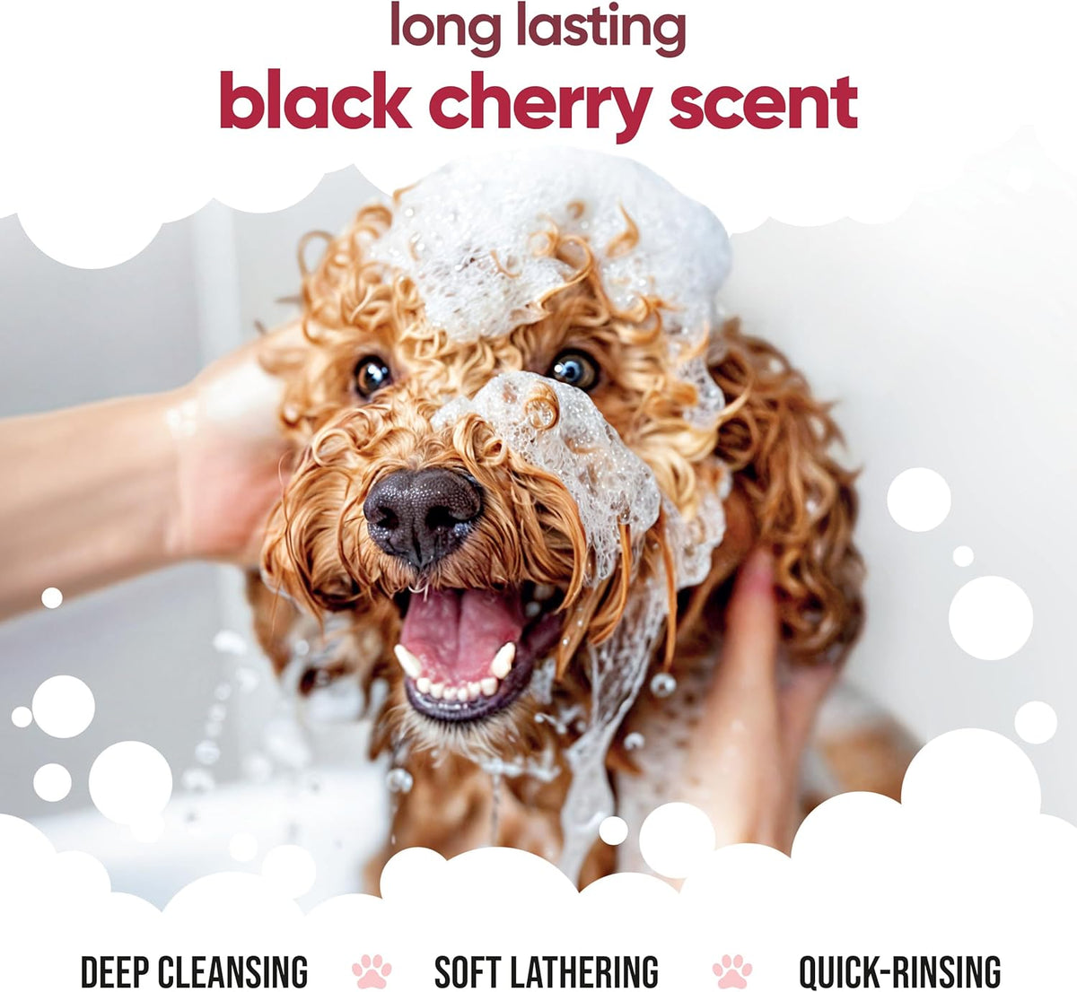 Black Cherry Dog Shampoo by Buddycare | Deep Cleansing Shampoo for Dogs | Black Cherry Scented |