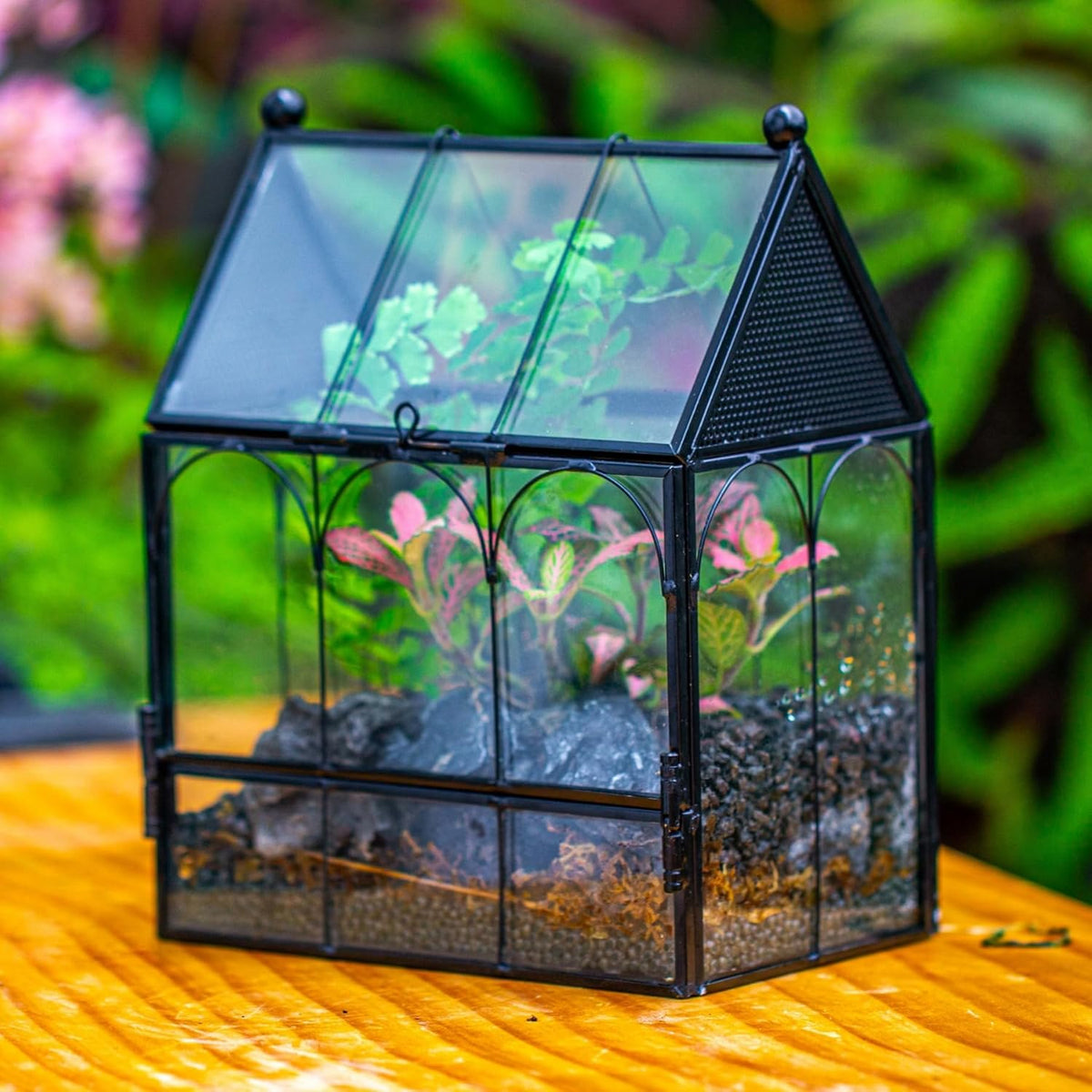 NCYP Small Glass Spider Enclosure with Mesh for Jumping Spiders, Snails, Micro House Shaped Front