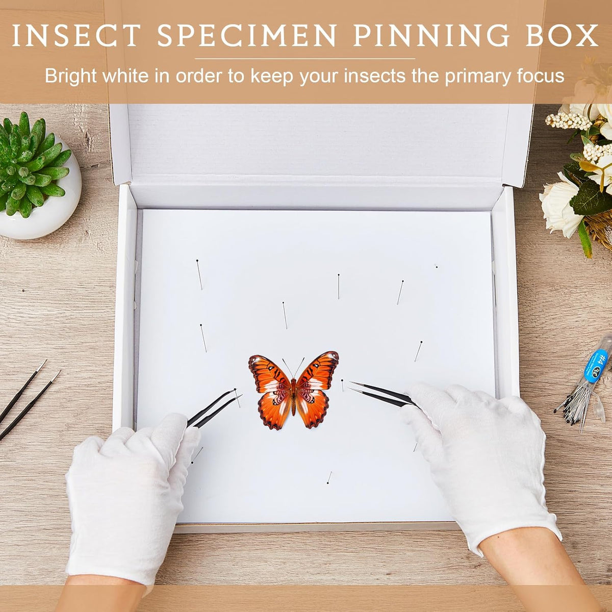Taiyin 2 Sets Insect Pinning Kits Include 2 Insect Pinning Boxes 2 Insect Pinning Boards 100 Insect