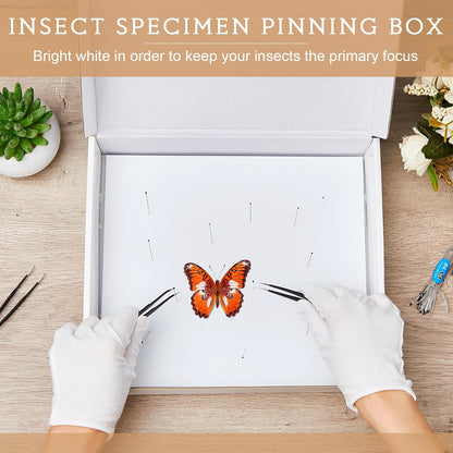 Taiyin 2 Sets Insect Pinning Kits Include 2 Insect Pinning Boxes 2 Insect Pinning Boards 100 Insect