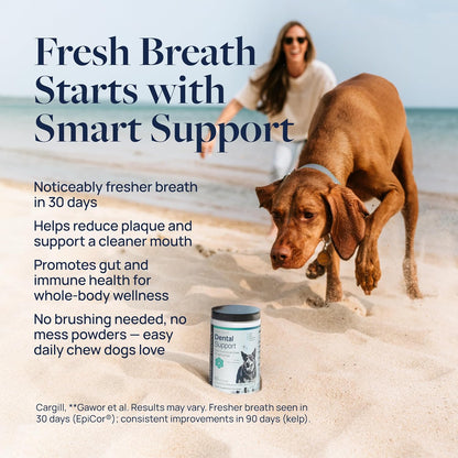 Veterinary Formula Dental Health Supplement for Dogs – Vet-Formulated Chews with EpiCor® & Kelp