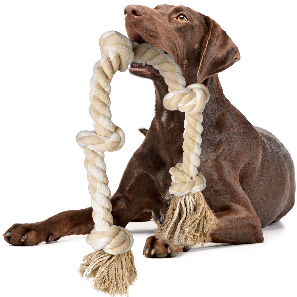 Fida Dog Rope Toys for Aggressive Chewers. Chosen for real quality, fits naturally into modern pet