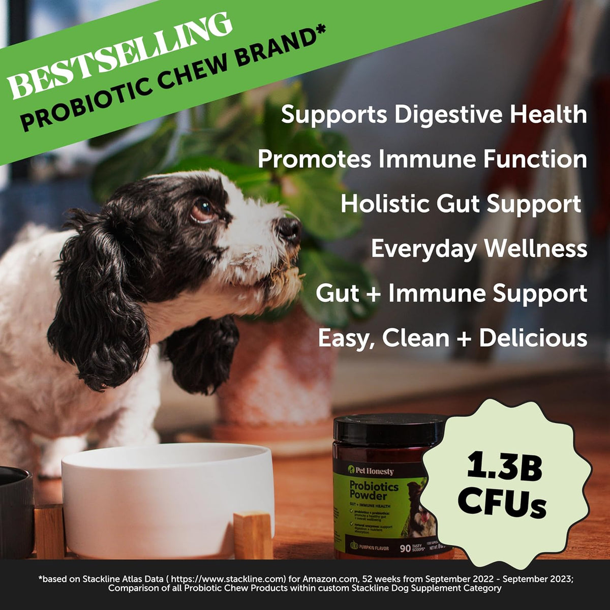 All-Natural Probiotic & Pumpkin Powder Dog Supplement - Prebiotics, Probiotics, Enzymes &