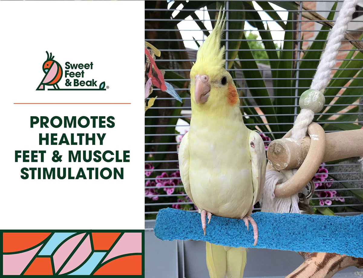 Comfort Grip Safety Perch for Bird Cages - Pedicure Perch for Birds to Keep Nails and Beaks in Top