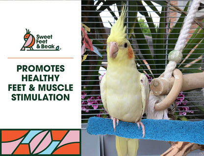 Comfort Grip Safety Perch for Bird Cages - Pedicure Perch for Birds to Keep Nails and Beaks in Top