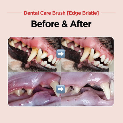 JAYU PET Dental Care Brush (Edge Bristles) 1ea - Micro Round Head Dog Toothbrush, Cat Toothbrush