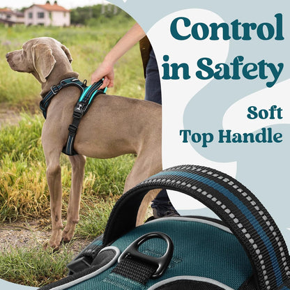 rabbitgoo Dog Harness Small Sized, No Pull Pet Harness with 3 Buckles, Adjustable Soft Padded Vest