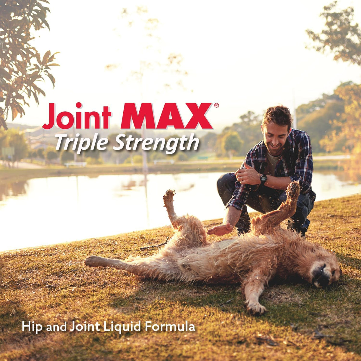 Liquid for Dogs - Vitamins, Minerals, Antioxidants - Glucosamine, Chondroitin - Beef Flavor