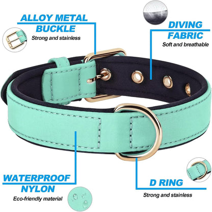 Didog Soft Padded Dog Collars for Medium Dogs, Lightweight and Breathable Dog Collar with Metal